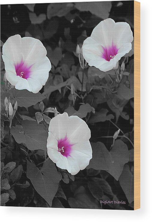 Wildflowers Wood Print featuring the digital art Soft Contrast by DigiArt Diaries by Vicky B Fuller