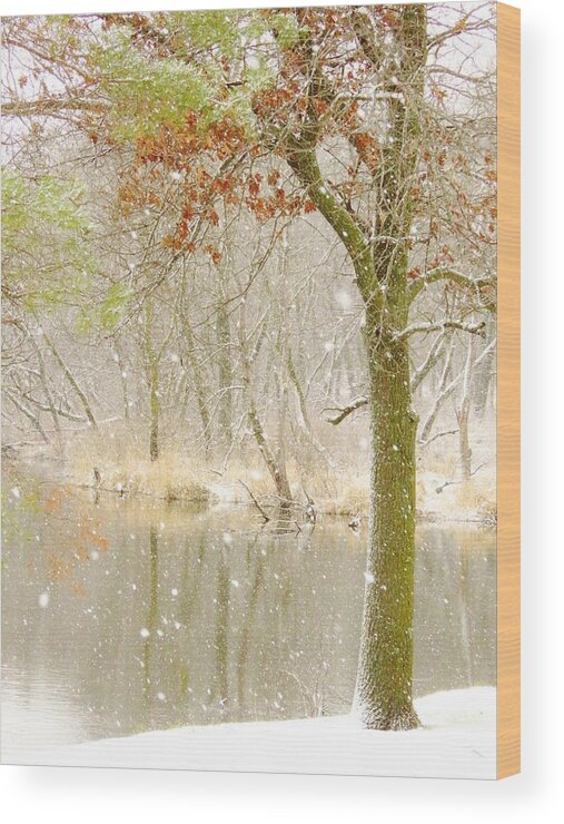 Creek Wood Print featuring the photograph Softly Falls the Snow by Lori Frisch