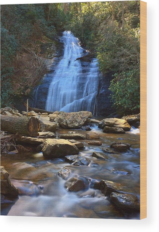 Waterfall Wood Print featuring the photograph Soothing by Richie Parks