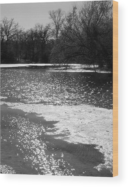  Wood Print featuring the photograph Sparkling Waters by Jeanna Tate