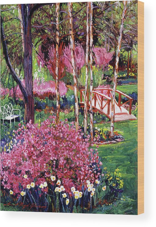 Gardens Wood Print featuring the painting Spellbound Color Impressions by David Lloyd Glover