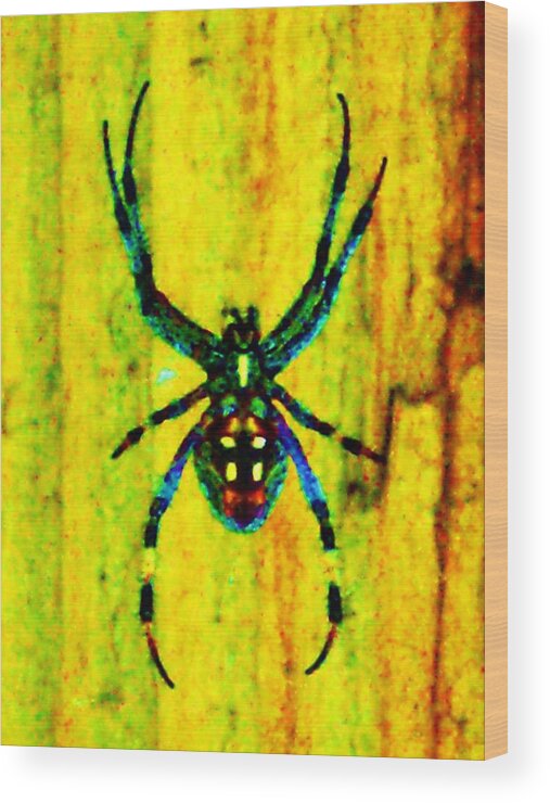 Spider Wood Print featuring the photograph Spider by Daniele Smith