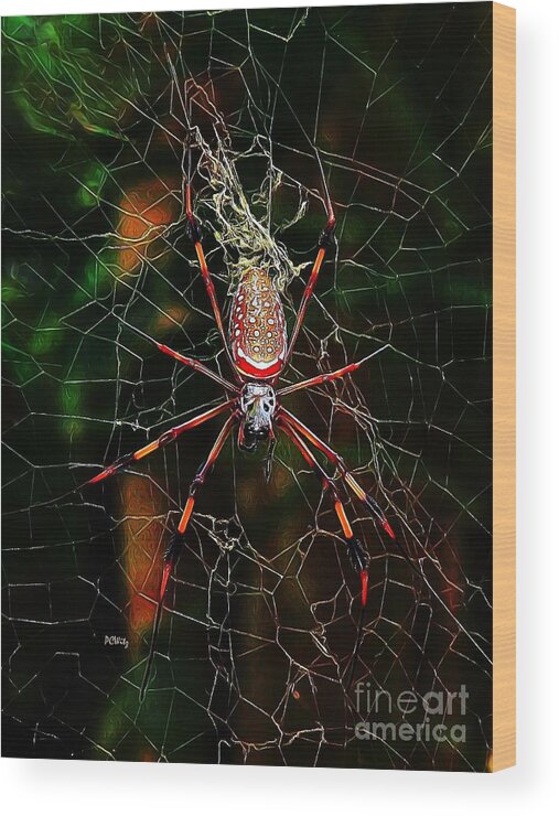 Spider Silk Wood Print featuring the photograph Spider Silk by Patrick Witz
