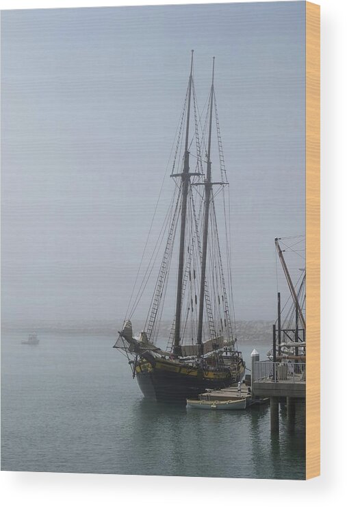 Dana Point Wood Print featuring the photograph Spirit of Dana Point by Connor Beekman