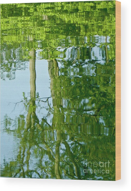 Tree Wood Print featuring the photograph Spring Greenery Reflections by Carol F Austin