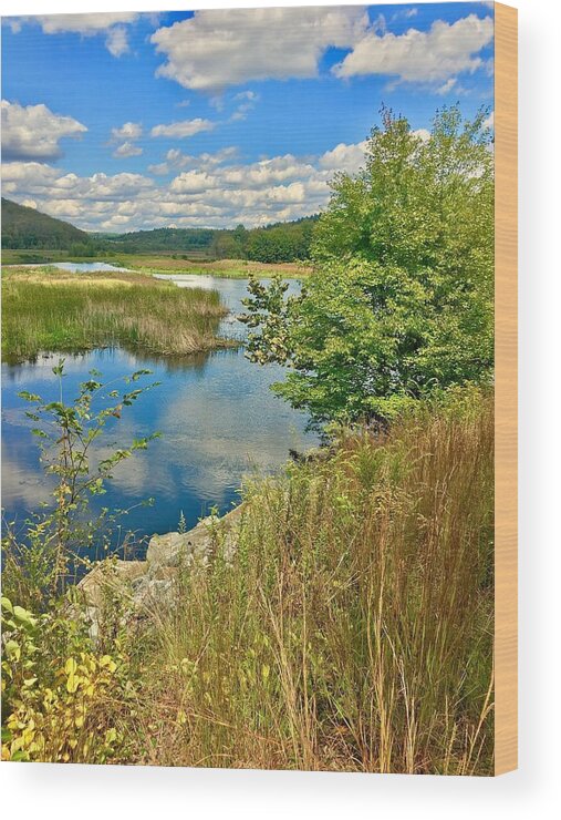 Landscape Wood Print featuring the photograph Summer Reflections by Lisa Pearlman