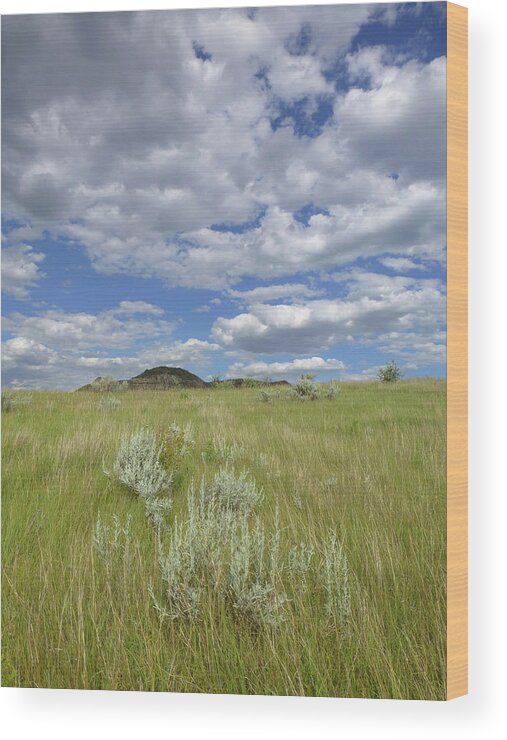 North Dakota Wood Print featuring the photograph Summertime on the Prairie by Cris Fulton