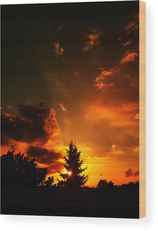 Sunset Wood Print featuring the photograph Sunset madness by Flavien Gillet