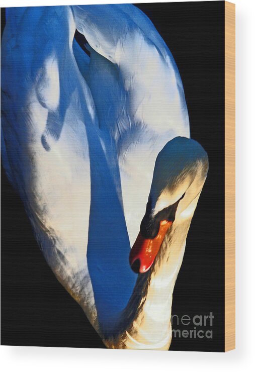 Swan Wood Print featuring the photograph Swan by Daniele Smith