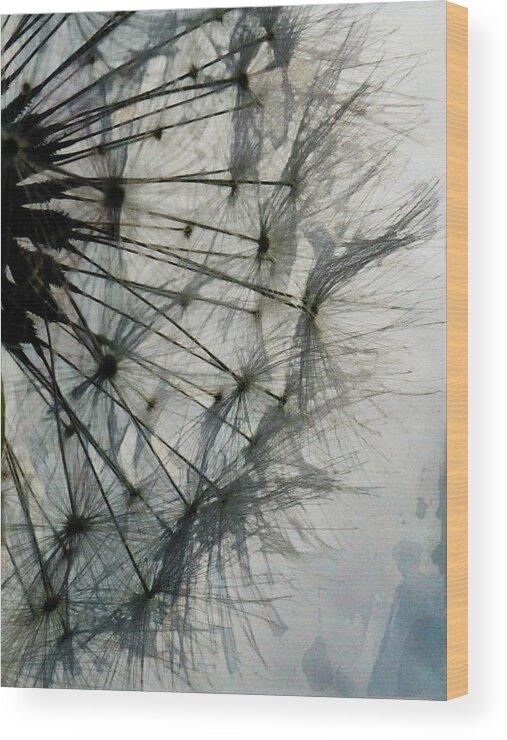 Art Wood Print featuring the digital art The Dandelion Silhouette by Steve Taylor