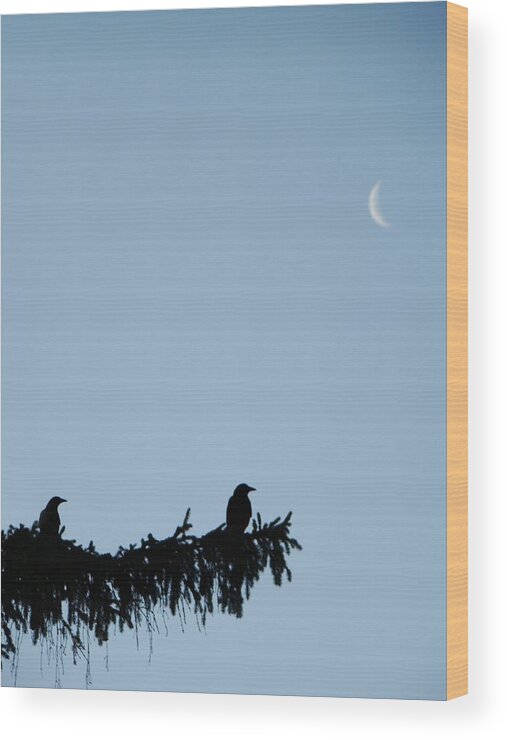 Moon Wood Print featuring the photograph The Evergreen Twins And The Crescent Moon by Gothicrow Images