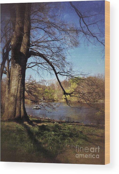 The Venerable Master Of The Forest Waits Wood Print featuring the photograph The Old Tree - Central Park Lake in Spring by Miriam Danar