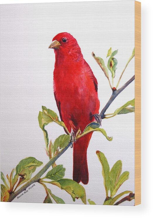 Scarlett Red Tanager Perched On A Tree Branch. Wildlife Wood Print featuring the painting The Scarlett Tanager by Brenda Beck Fisher