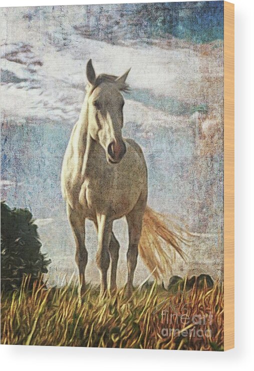 Horse Wood Print featuring the painting The white horse Gusti by Horst Rosenberger