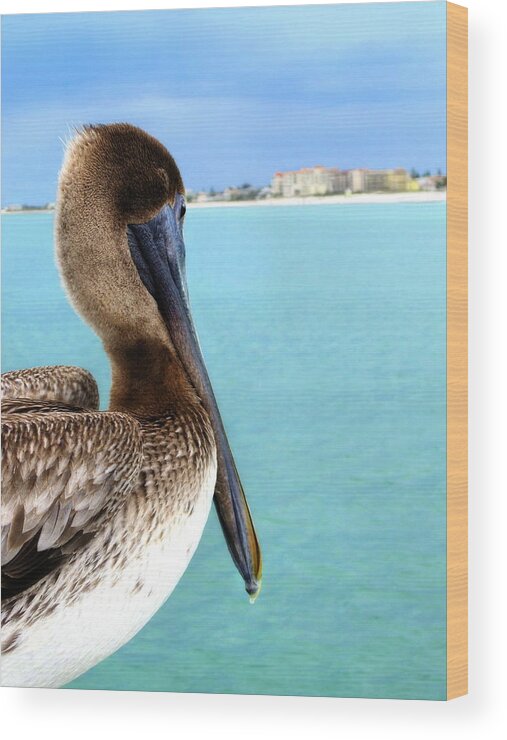 Clearwater Wood Print featuring the photograph This Is My Town - Pelican at Clearwater Beach Florida by Angela Rath