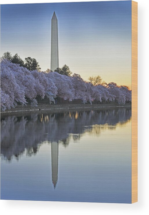 tidal Basin Sunrise Wood Print featuring the photograph Tidal Basin Sunrise - Washington DC by Brendan Reals