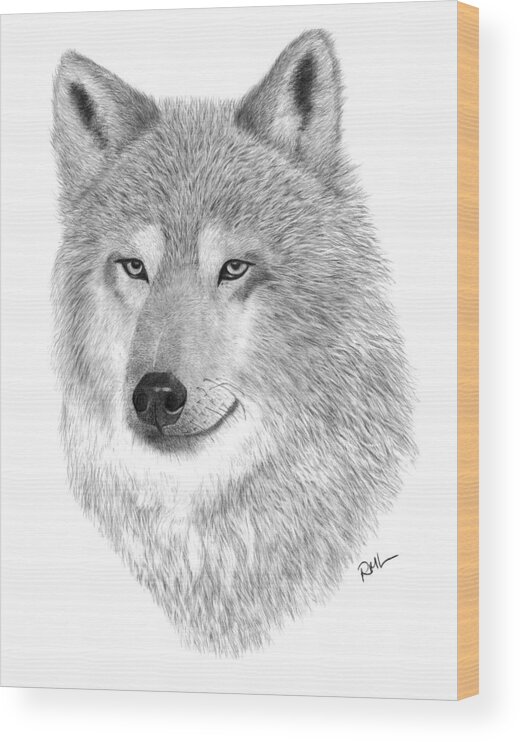 Wolf Drawing Wood Print featuring the drawing Timber Wolf by Rosanna Maria
