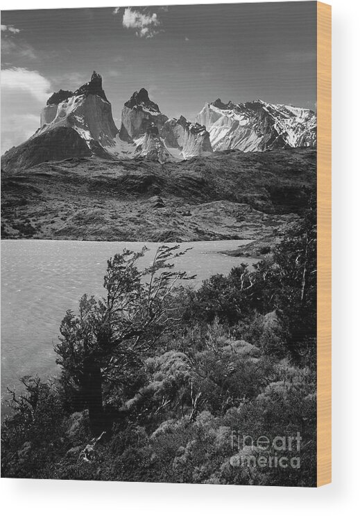 Patagonia Wood Print featuring the photograph Torres del Paine National Park by Craig Lovell