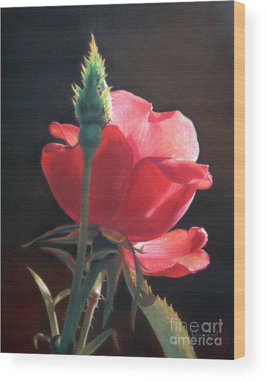 Flower Wood Print featuring the painting Translucent Rose by Nanybel Salazar