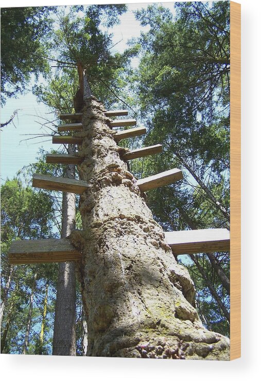 Ladder/ Tree Wood Print featuring the photograph Tree Ladder by Gene Ritchhart