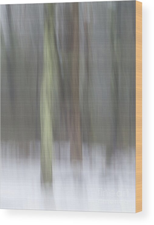 Abstract Wood Print featuring the photograph Trees in Fog II by Lili Feinstein