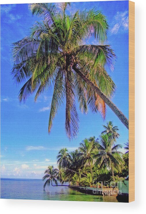 Tree Wood Print featuring the photograph Tropical Palms by Sue Melvin