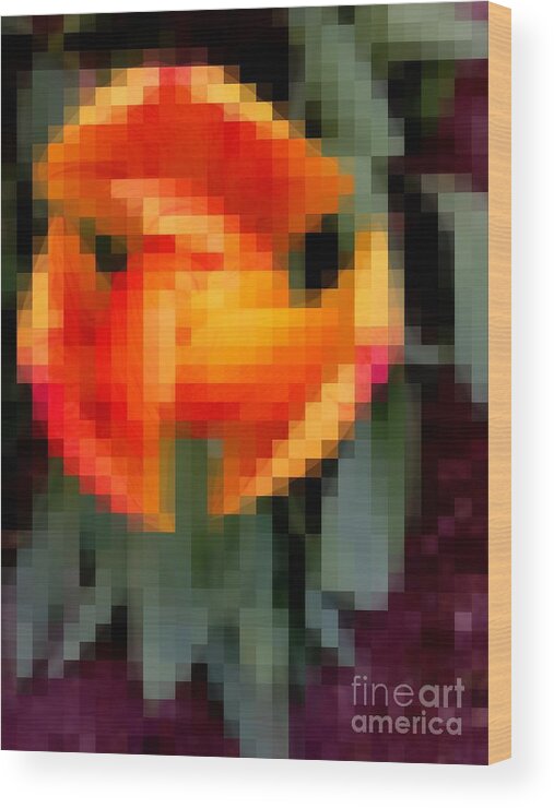 Tulip Wood Print featuring the photograph Tulip 1 Honoring Princess Diana by Richard W Linford
