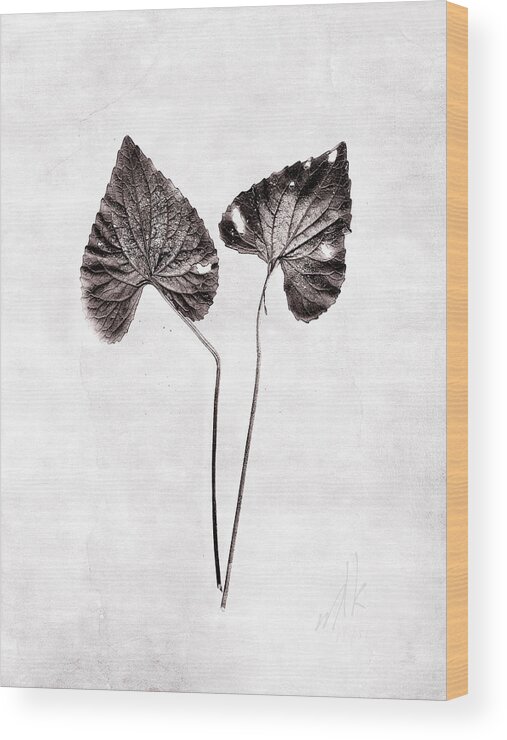 Violet Wood Print featuring the photograph Two Little Violet Leaves by Louise Kumpf