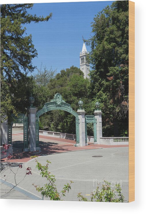 Wingsdomain Wood Print featuring the photograph University of California at Berkeley Sproul Plaza Sather Gate and Sather Tower Campanile DSC6262 by Wingsdomain Art and Photography