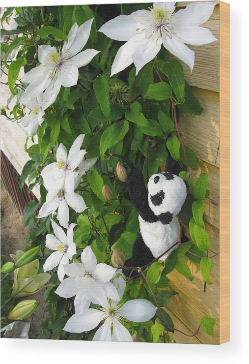 Baby Panda Wood Print featuring the photograph Up and up and up by Ausra Huntington nee Paulauskaite