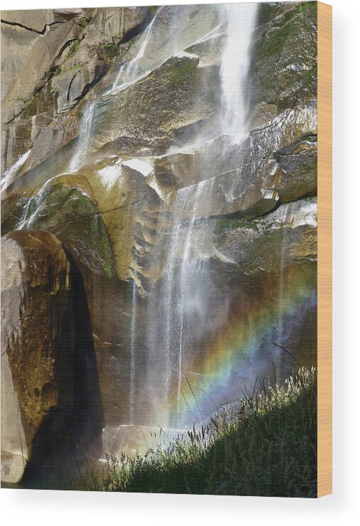 Yosemite National Park Wood Print featuring the photograph Vernal Falls Rainbow and Plants by Amelia Racca