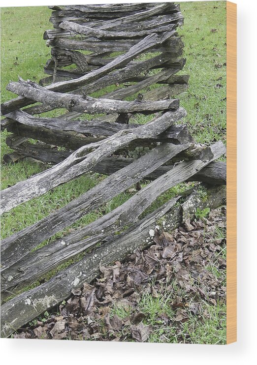 Cades Cove Wood Print featuring the photograph Vintage Custom Fencing by Phil Perkins