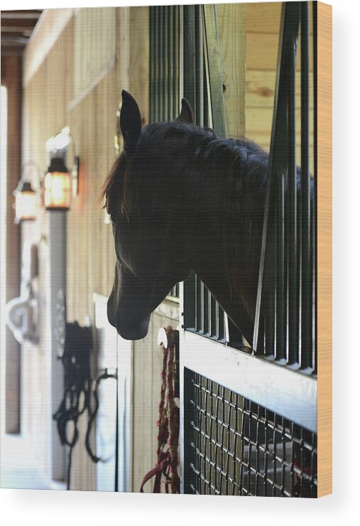 Horse Wood Print featuring the photograph Waiting on You by Julia Wilcox