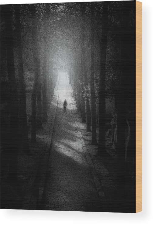 Trees Wood Print featuring the digital art Walking Alone by Celso Bressan
