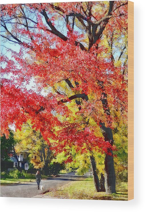 Autumn Wood Print featuring the photograph Walking the Dog in Autumn by Susan Savad