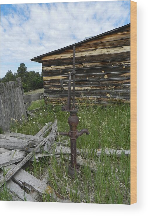 Water Pump Wood Print featuring the photograph Water Pump Homestead by Cathy Anderson