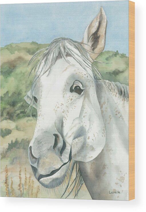 Horse Pictures Wood Print featuring the painting What was the Question by Kimberly Lavelle