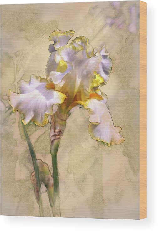 5dmkiv Wood Print featuring the digital art White and Yellow Iris by Mark Mille