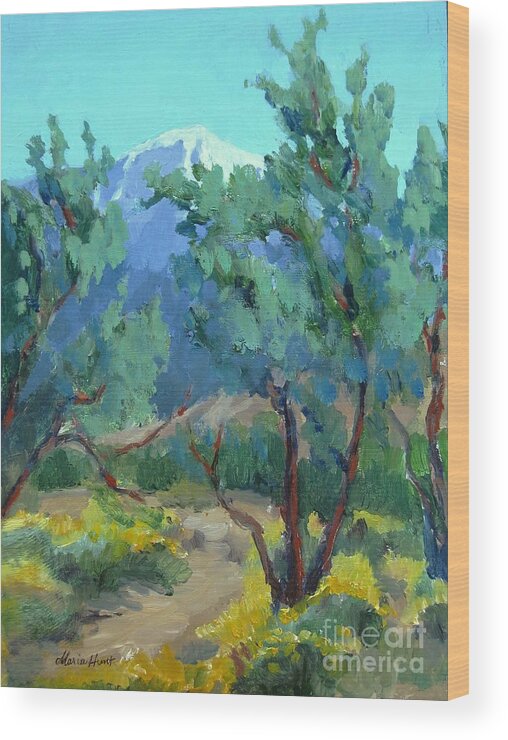 Landscape Wood Print featuring the painting Whitewater Preserve Palm Springs by Maria Hunt