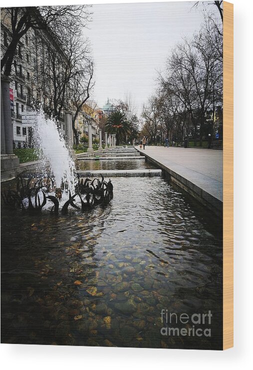 Landscape Wood Print featuring the photograph Winter fountain by Jarek Filipowicz