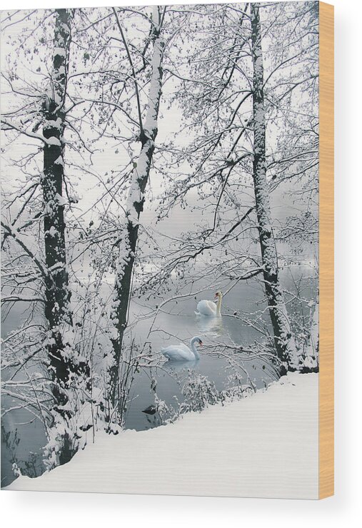 Winter Wood Print featuring the photograph Winter's Veil by Jessica Jenney