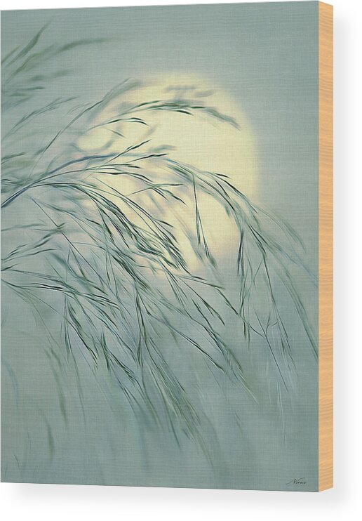 Sun Wood Print featuring the digital art Wispy Sunset-6 by Nina Bradica