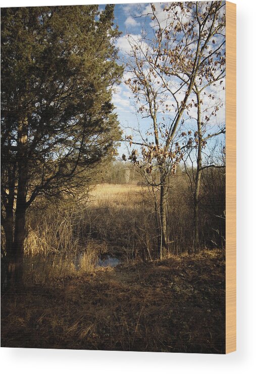  Wood Print featuring the photograph Woodland View by Kimberly Mackowski
