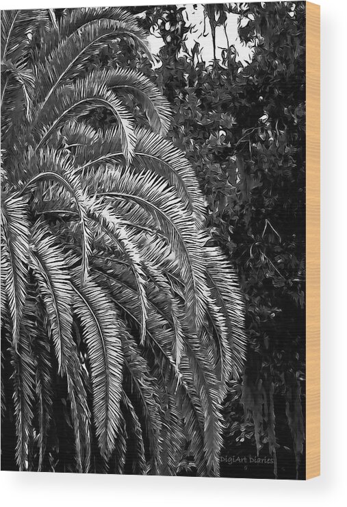 Palm Tree Wood Print featuring the photograph Zebra Palm by DigiArt Diaries by Vicky B Fuller