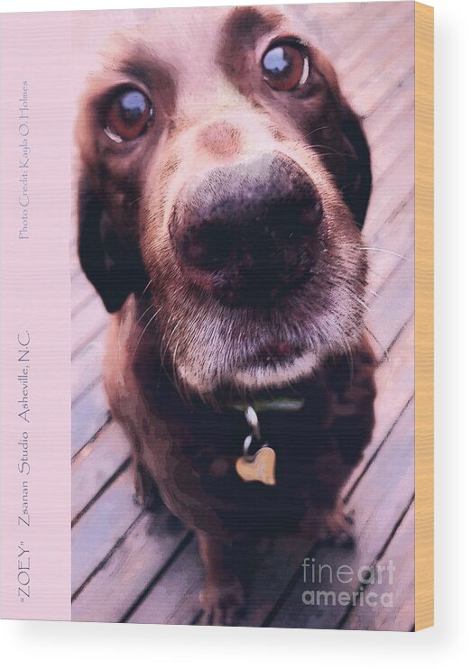 Zoey. Dog Wood Print featuring the mixed media Zoey by Zsanan Studio