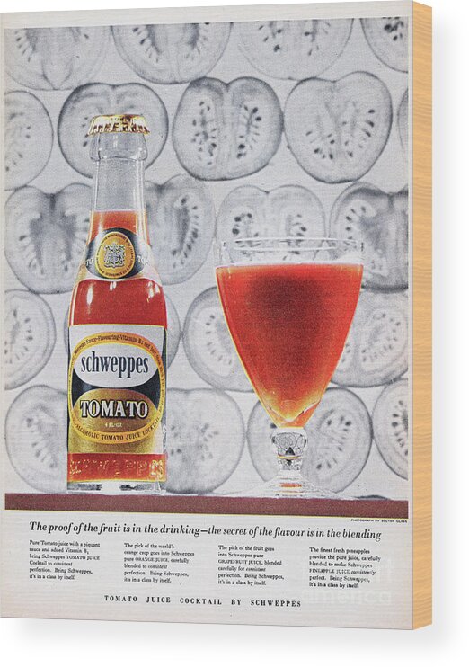 1950-1959 Wood Print featuring the photograph Schweppes Tomato Juice #1 by Picture Post