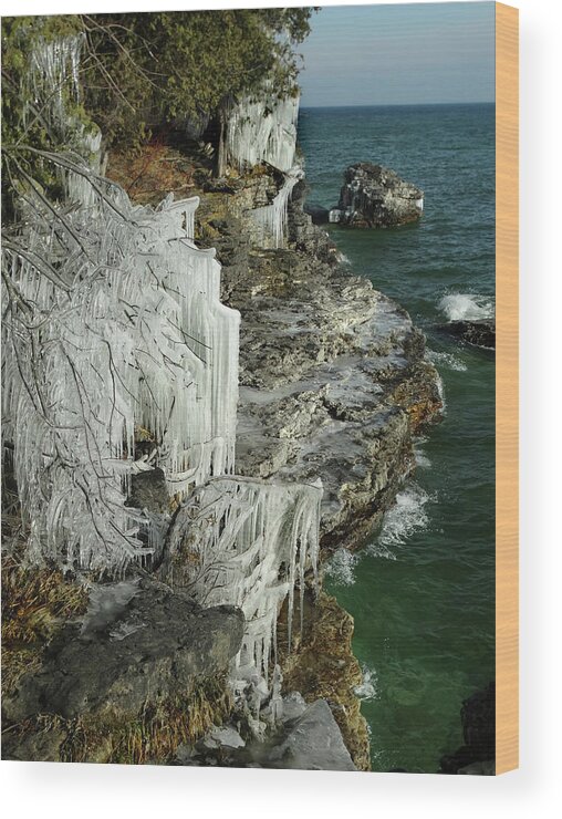 Waves Wood Print featuring the photograph Lake Michigan Shoreline Ice by David T Wilkinson