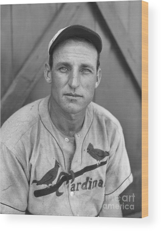 St. Louis Cardinals Wood Print featuring the photograph St. Louis Cardinals Baseball Player #1 by Bettmann