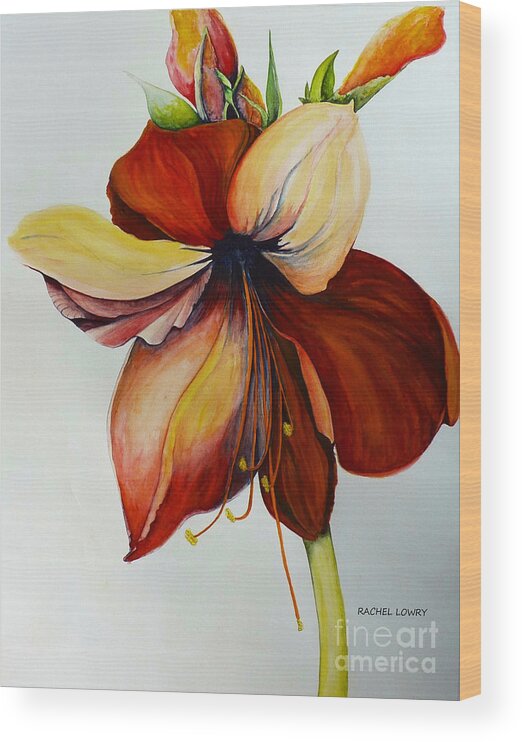 Red Wood Print featuring the painting Amerylis/Amaryllis by Rachel Lowry
