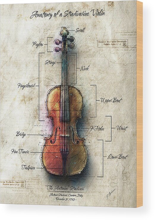 Violin Art Wood Print featuring the digital art Anatomy of A Stradivarius Violin by Gary Bodnar